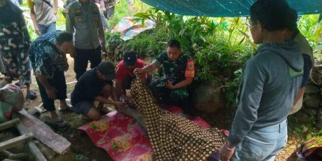 Petani Gula Aren Meninggal Jatuh dari Pohon di Cisewu Garut