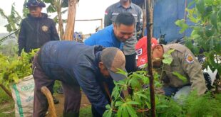 Kelompok Tani dan Aktivis Garut Tanam Pohon Lestarikan Alam