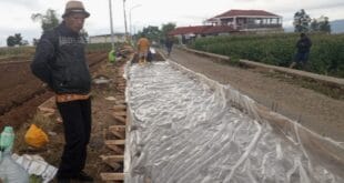 Dinas PUPR Garut Dukung Jalan Rabat Beton di Sukabakti