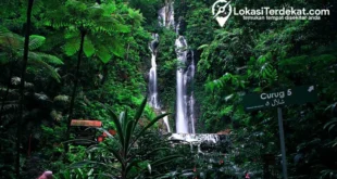 air terjun curug cangkok: Sejarah dan Keunikan Alam
