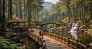 Kamojang Ecopark di Garut: Destinasi Wisata Alam di Tengah Hutan Pinus yang Rindang